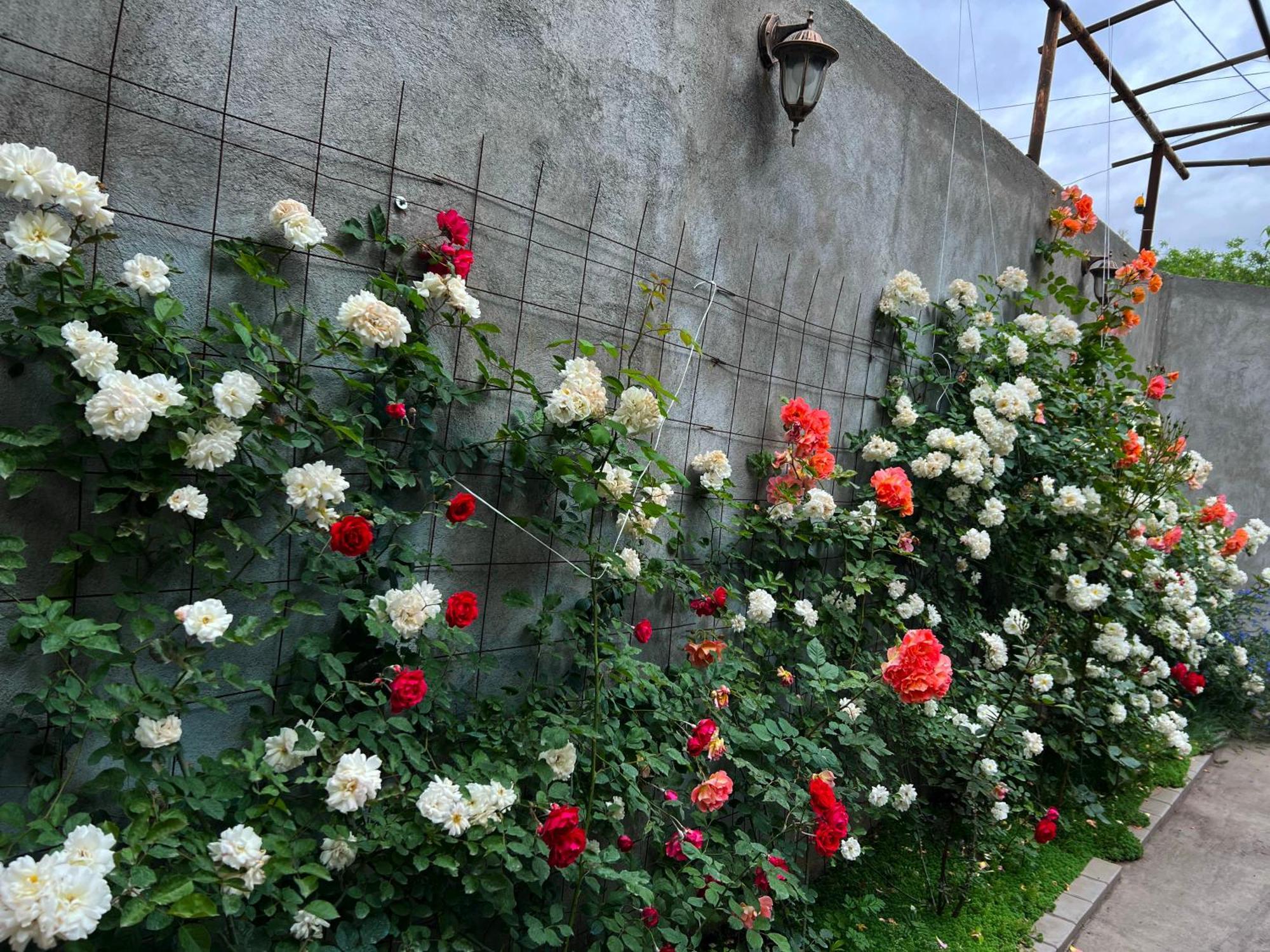 Hillside Guest House Erivan Dış mekan fotoğraf